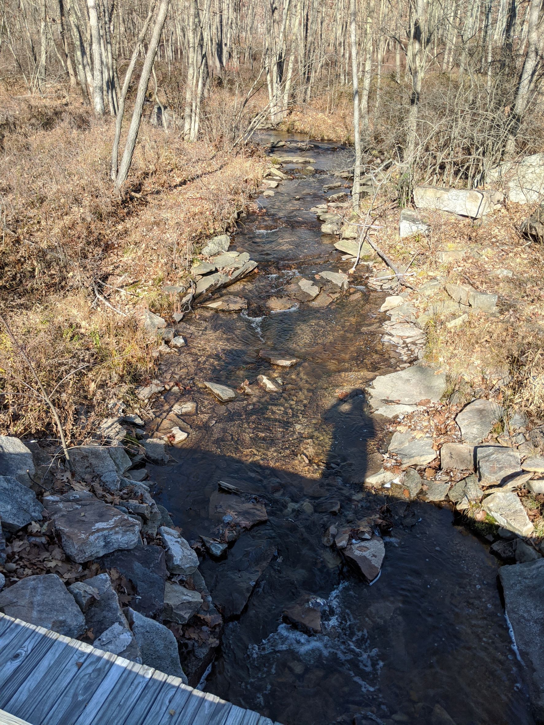 Watershed Hikes Friends Of The Nescopeck